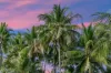 28/9 Veivers Road, Palm Cove, Qld 4879-Image