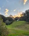28 Candlebark Way, New Lambton Heights, NSW 2305-Image