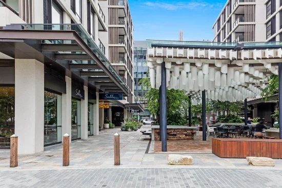 28 Young Street, Randwick, NSW 2031-Image