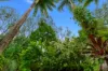 29/1 Beor Street, Port Douglas, Qld 4877-Image
