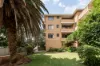 29/51-55 Alt Street, Ashfield, NSW 2131-Image
