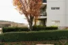 3/112 McMichael Terrace, Denman Prospect, ACT 2611-Image