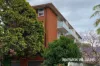 3/120 Bland Street, Ashfield, NSW 2131-Image