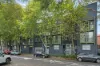 3/123 Cooper Street, Waterloo, NSW 2017-Image