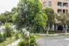 3/125 Euston Road, Alexandria, NSW 2015-Image