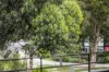 3/125 Euston Road, Alexandria, NSW 2015-Image