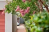 3/15 Howitt Street, Kingston, ACT 2604-Image