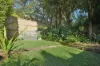 3/164 Wellington Street, Bondi NSW 2026-Image