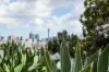 3/2 Brodie Street, Paddington, NSW 2021-Image
