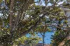 3/2 Ida Avenue, Mosman, NSW 2088-Image