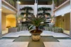 3/202 Jersey Road, Paddington, NSW 2021-Image