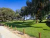 3/29-31 Swan View Terrace, Maylands, WA 6051-Image