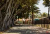 3/32 Edward Street, Perth, WA 6000-Image