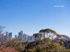 3/40A Musgrave Street, Mosman, NSW 2088-Image
