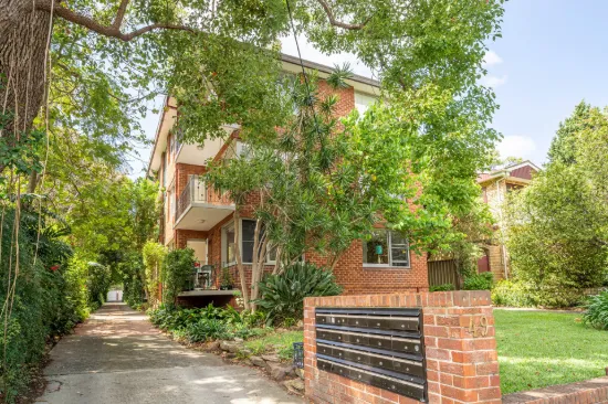 3/49 Alt Street, Ashfield, NSW 2131