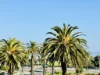 3/7 Alfred Square, St Kilda, Vic 3182-Image