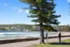 3/7 Dalley Street, Queenscliff, NSW 2096-Image