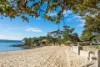 3/76 Muston Street, Mosman, NSW 2088-Image