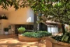 3/87-95 Victoria Street, Potts Point, NSW 2011-Image