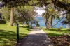 3/88 Milson Road, Cremorne Point, NSW 2090-Image