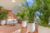 3/922 Military Road, Mosman, NSW 2088-Image