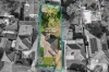 3 Wall Avenue, Asquith, NSW 2077-Image