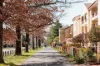 30/38 Torrens Street, Braddon, ACT 2612-Image