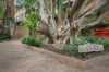 30/500 Elizabeth Street, Surry Hills, NSW 2010-Image