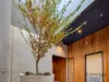 301/312 Johnston Street, Abbotsford, Vic 3067-Image
