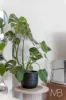 302/1 Broughton Street, Parramatta, NSW 2150-Image