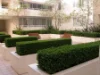 302/11-25 Wentworth Street, Manly, NSW 2095-Image