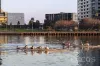 302/68 River Esplanade, Docklands, Vic 3008-Image