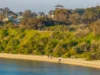 302/76 Beach Road, Sandringham, Vic 3191-Image