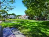 302/9 Marriott Street, Redfern, NSW 2016-Image