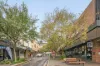 302B/11-13 Hercules Street, Ashfield, NSW 2131-Image