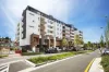 303/95 Ross Street, Forest Lodge, NSW 2037-Image