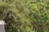 303C/7-13 Centennial Avenue, Lane Cove, NSW 2066-Image