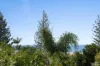 304/21 Douglas Street, Mooloolaba, Qld 4557-Image