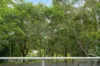 304/8 Duntroon Avenue, St Leonards, NSW 2065-Image