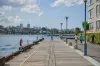 305/19 Cadigal Avenue, Pyrmont, NSW 2009-Image