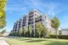 305/9 Young Street, Randwick, NSW 2031-Image