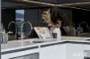 309/19 Challis Street, Dickson, ACT 2602-Image