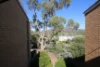 31/10 Wilkins Street, Mawson ACT 2607-Image