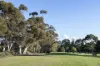 31/202 The Avenue, Parkville, Vic 3052-Image