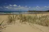 31/40 Captain Cook Drive, Agnes Water, Qld 4677-Image