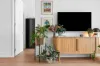 31/8 Giles Street, Griffith, ACT 2603-Image