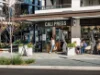 310/11 Young Street, Randwick, NSW 2031-Image