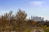 310/116 Martin Street, Brighton, Vic 3186-Image