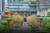 3105/1 Carlton Street, Chippendale NSW 2008-Image