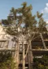 3106 The Ingleburn Scotch Hill Gardens, Hawthorn, Vic 3122